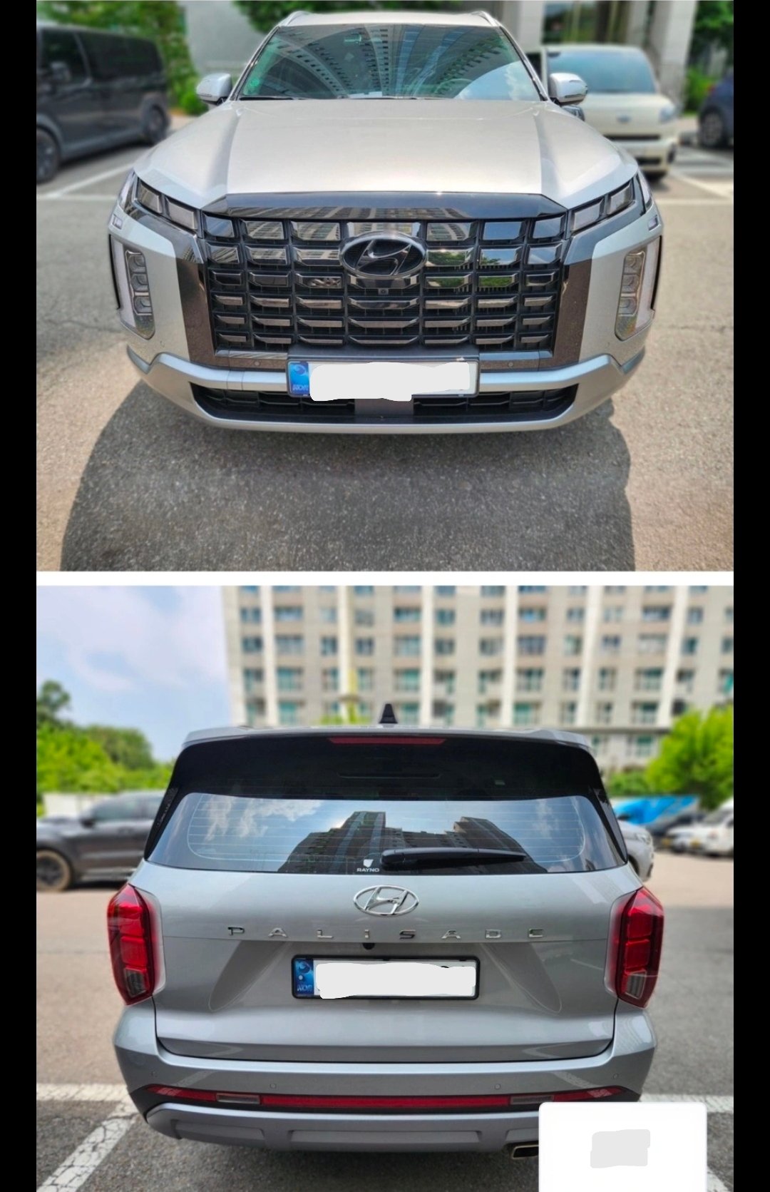 باليسيد 2024